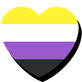 nonbinary nonbinary